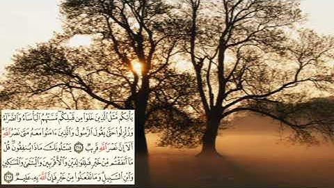 سعد الغامدي -سورة البقرة صفحة - 33- (page (alba9ra