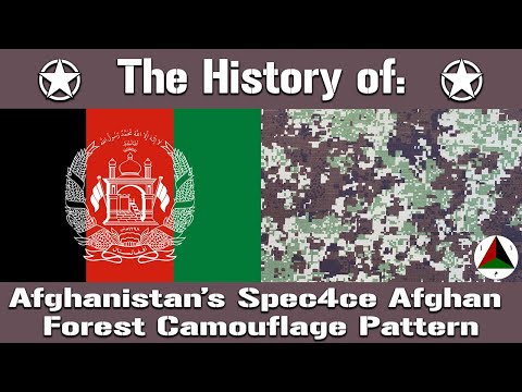 Vidéo: Shindand, Afghanistan : actions militaires, photo