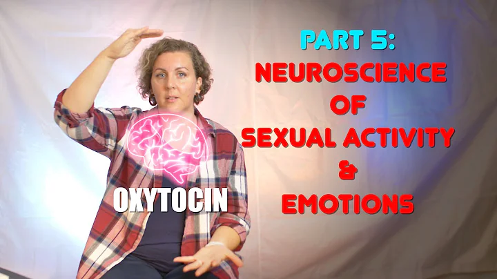 R&B Part 5: The Neuroscience of Sexual Activity, Emotions, and The Damaging Effects of Pornography