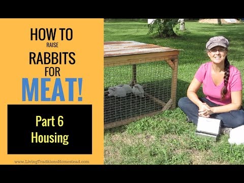 Raising Rabbits for Meat Part 6:  Rabbit Housing