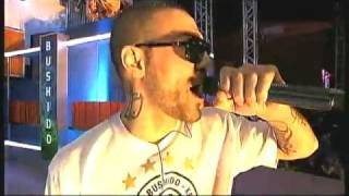 Bushido - Fackeln im Wind - LIVE - RTL - Dortmund Germany 26.06.2010.flv