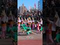 【心も明るくなるこのリズム!】若獅子連 #阿波おどり #dance #japan
