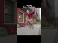 spot check | Skate realistic @skate