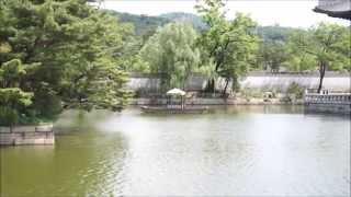 Sony A77 Ii 1080P Sample