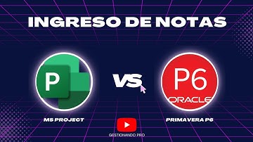 ¿Cómo ingresar notas a las actividades? | 💻 MS PROJECT VS PRIMAVERAP6