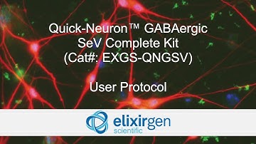 Protocol for Quick-Neuron GABAergic - SeV Complete Kit