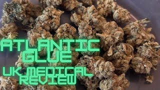 Therismos Craft ATG T29 - Atlantic Glue or GG#4 - UK Medical Cannabis Flower Review