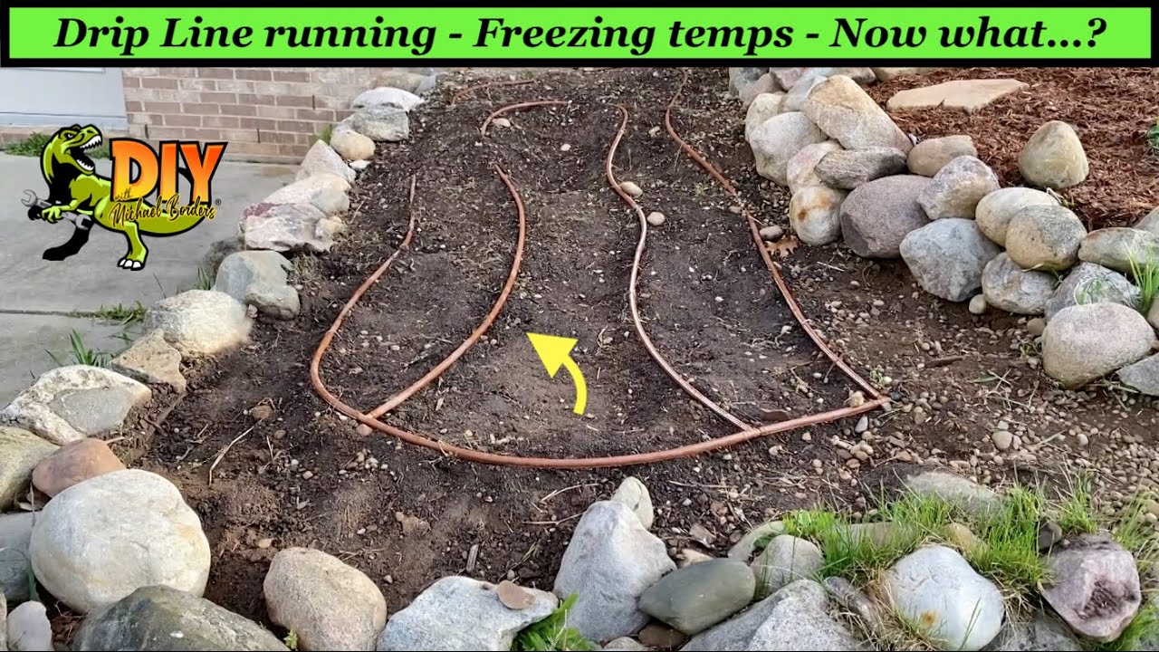 Freezing temperatures after turning drip line system on - Now what?