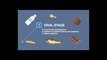 Static in vitro Digestion