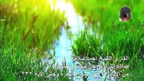 القارئ الشيخ أحمد سلامة سورة البقرة من 142 إلى 232 من صلاة التراويح من مجمع الصديق