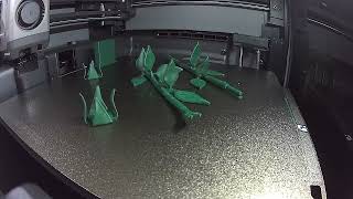 Two Sepals Stems 🌿 | Delicate Botanical 3D Print Timelapse | Bambu Lab
