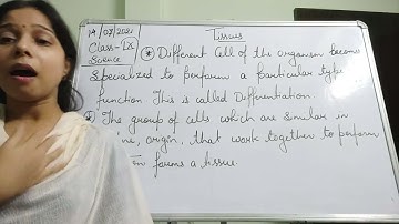 Class IX Science 14 07 2021 by Ms Mridulata upadhyay Tissues