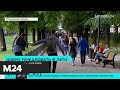 В Москву возвращается тепло - Москва 24