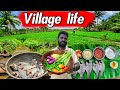     my village life stays  vanni vlog