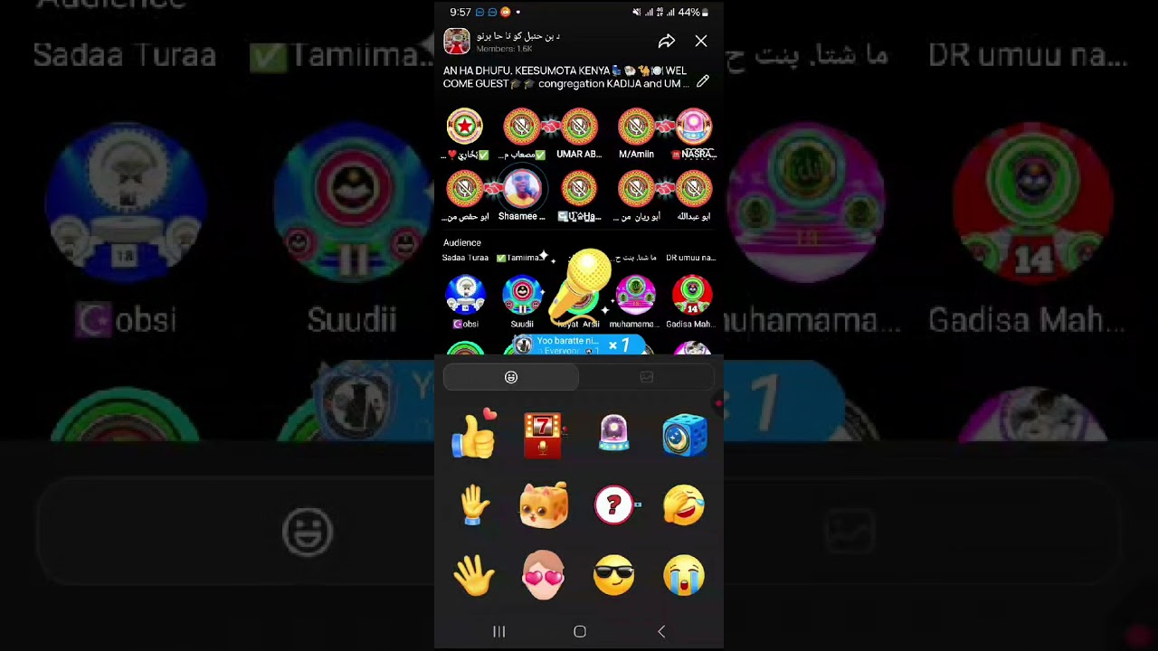 Shaameen maal jedha sa?😂 obsaan dhageeffadhaa mee!