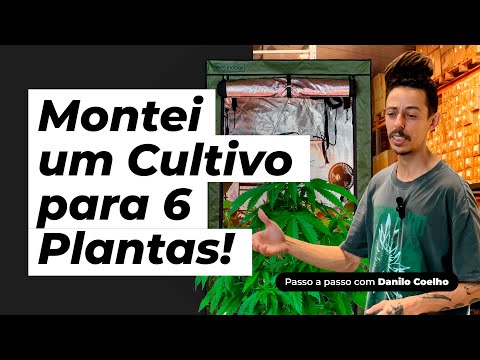 Kit Grow de Cannabis para 6 Plantas em Casa | Guia de Equipamentos para Novos Growers