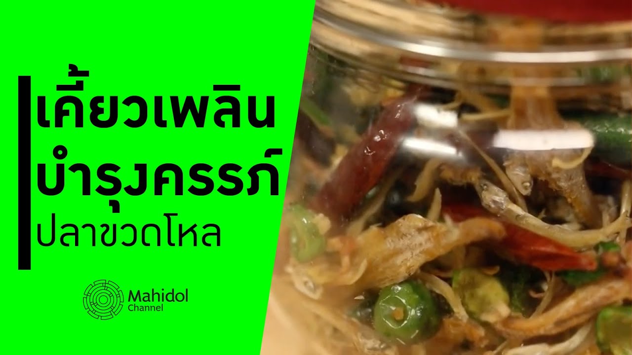 'ปลาขวดโหล' เคี้ยวเพลินบำรุงครรภ์ [ทำอาหาร by Mahidol Channel]