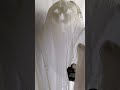 Gemmy animated Emotesync Ghost