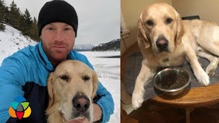 Family of stolen dog appeals for safe return
