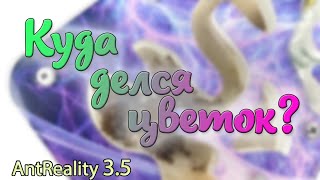 AntReality 3.5 - Где цветок?