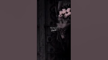 ( وَمَا هَذِهِ الْحَيَاةُ الدُّنْيَا إِلَّا لَهْوٌ وَلَعِبٌ) - سورة العنكبوت الآية 64