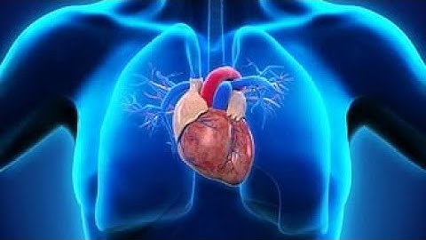 The Silent Heart Attack 🫀#heartattack