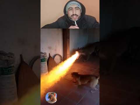 حقيقي أم دكاء إصطناعي الجيلي اكسبلور Prismlivestudio 