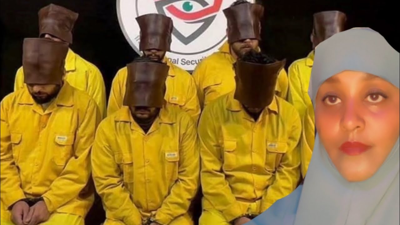 Qiso Waaaalaaan 🤪 Hibo Qalbi adag 6 mar ayeey Dish**ay odaygeedi 💔😭 Irak 🇮🇶