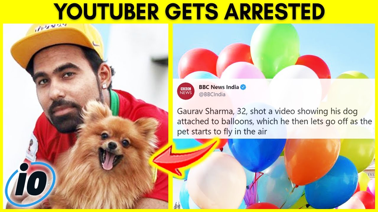 YouTuber Arrested For Making Dog Fly