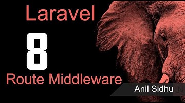 Laravel 8 tutorial - Route middleware