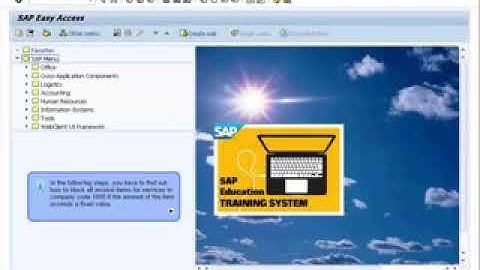 SAP MM Invoice Verification  Variances and Invoice Blocks part №1