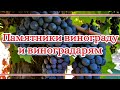 Памятники винограду и виноградарям