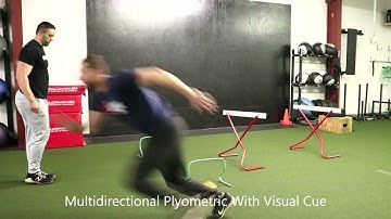 Multidirectional Plyometrics With Visual Cues