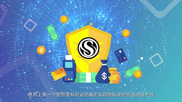 SERO - Global first Privacy Protecting Blockchain Platform using Zero Knowledge Proof
