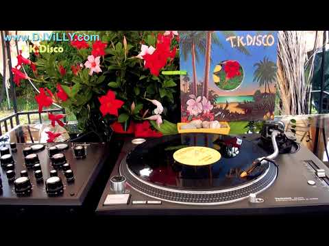 Fern Kinney — Fern Kinney ‎– Let's Keep It Right There 1979 ViNYL