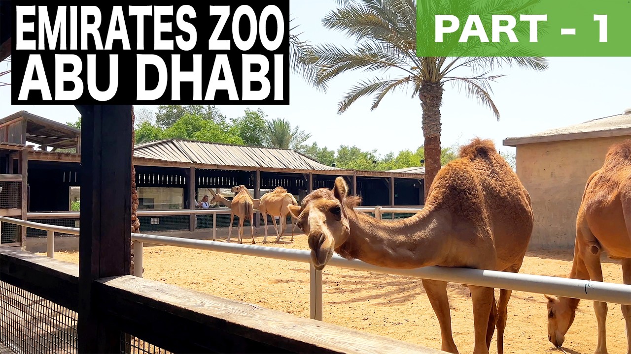 Emirates Zoo Abu Dhabi - Part 1 | 4K | Abu Dhabi Tourist Attraction