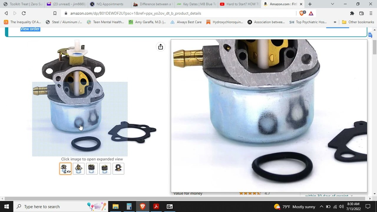 Briggs & Stratton EZ Start won't start? Primer Bulb Plate leaks? Fix w