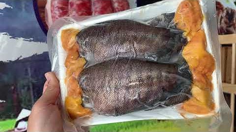 Cá sặc trứng 1 nắng (Size 8 con/1kg) - Sĩ công khai - 125k/1kg (Th09/2020) - LH: 0903 602 763