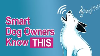 Why Do Dogs Howl at Certain Musics?