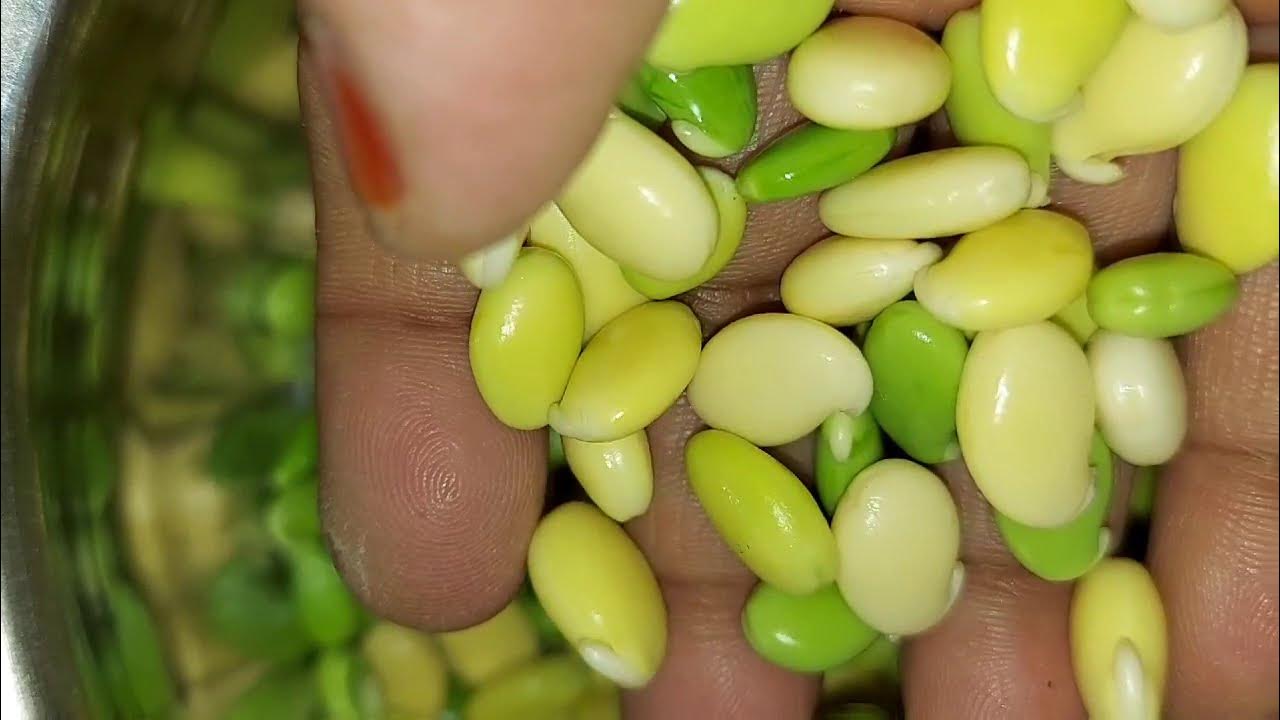 అనపగింజలతో కూర!!Lima Beans curry in Telugu Anapa ginjala masala curry