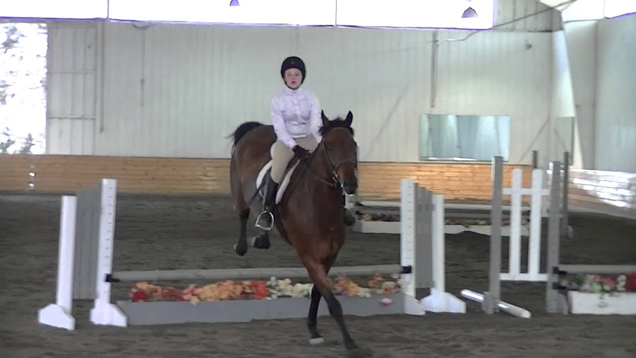 West Milford Equestrian Center Horse Show 06/23/2013 YouTube
