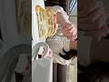 \ 食い倒れ / 名古屋1人出張vlog🧣🧦🎧 #vlog #社会人 #出張 #名古屋