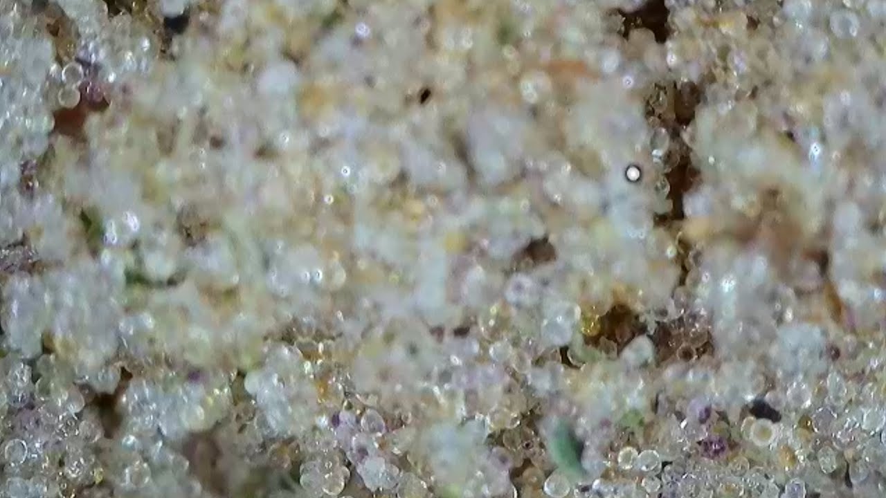 Dry sift Cleaned up with Static tech - YouTube