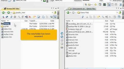 FTP - Managing files in SmartFTP