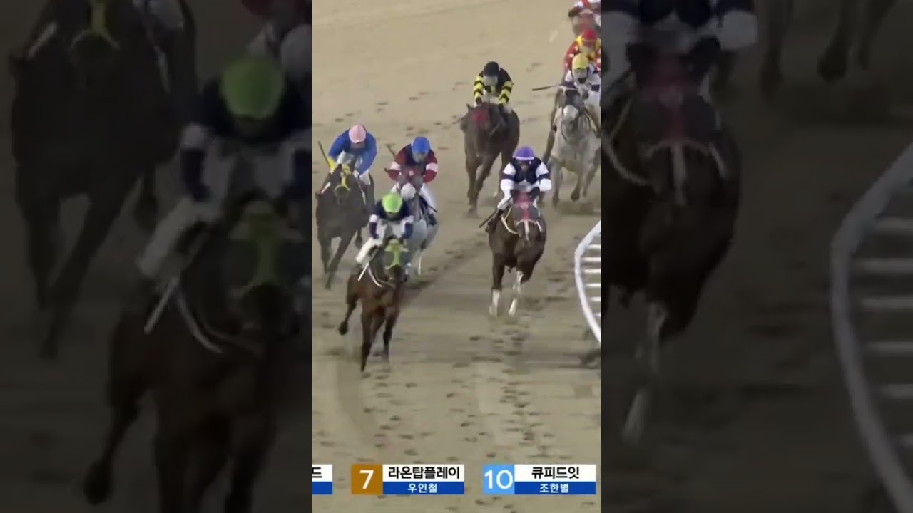 16,2배 연승2번적중01055876275공개된번호