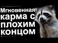 ИСТОРИИ О МГНОВЕННОЙ КАРМЕ С ХОРОШИМ И ПЛОХИМ КОНЦОМ