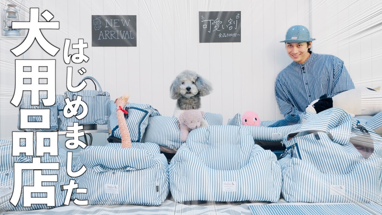 【コント】憧れだった犬用品店をオープンしたので愛犬を招待してみた！！