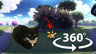 Maxwell The Cat 360° - Together with Pikachu  VR360 VIDEO IN 4K