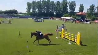 Frodó Marosvári Edina Mezőhegyes 20170609
