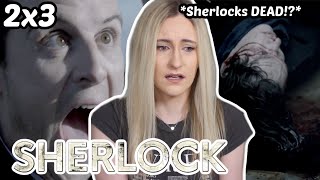 Sherlock Is DEAD?!?!?! (SHERLOCK COMMENTARY/REACTION 2X3)